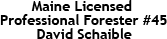 maine licensed foresters logo